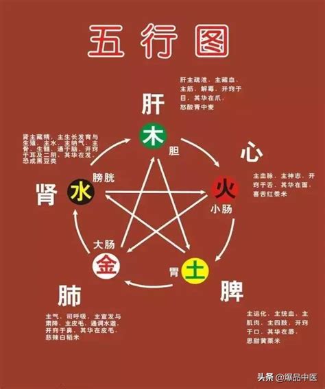 五行对应的器官|中医蕴含的五行学说，五脏之间的关系